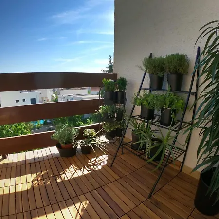 Sun-Drenched Apartment 