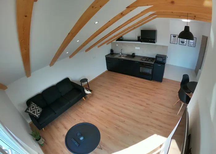 Sun-Drenched Apartment \
